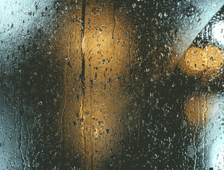 c-g-JgDUVGAXsso-unsplash