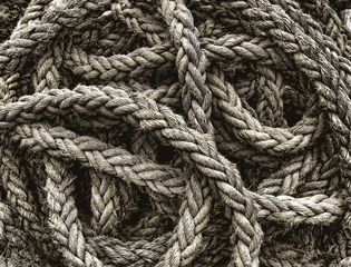 tim-boote-0-IKoef3Ukw-unsplash_LQ